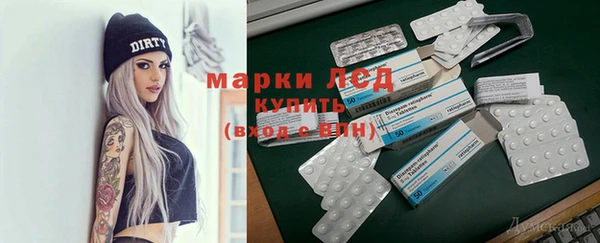 apvp Богданович