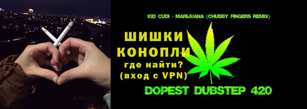 apvp Богданович