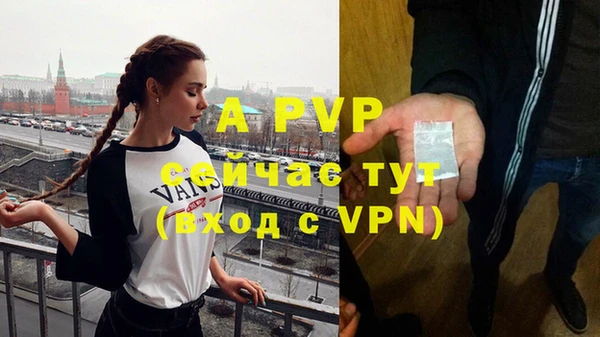 apvp Богданович