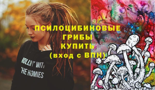 синтетический гашиш Богородицк