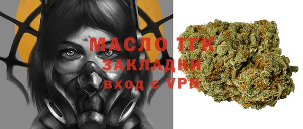 твердый Дмитриев